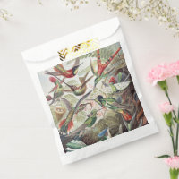Vintage Ernst Haeckel Farbposter Kolibri