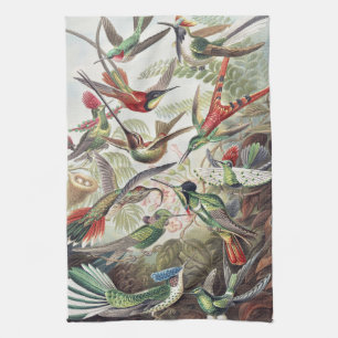 Vintage Ernst Haeckel Farbposter Kolibri Geschirrtuch