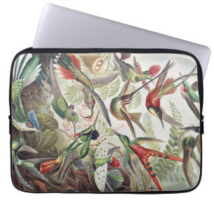Vintage Ernst Haeckel Farbposter Kolibri Laptopschutzhülle