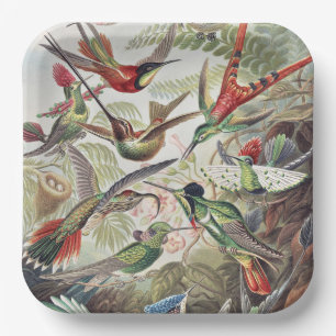 Vintage Ernst Haeckel Farbposter Kolibri Pappteller