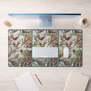 Vintage Ernst Haeckel Farbposter Kolibri Schreibtischunterlage