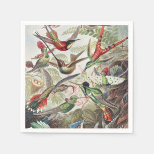 Vintage Ernst Haeckel Farbposter Kolibri Serviette