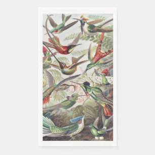Vintage Ernst Haeckel Farbposter Kolibri Serviette