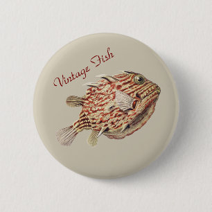 Vintage Ernst Haeckel Nautical Rote Kofferfisch Ku Button