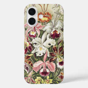Vintage Ernst Haeckel Orchideen Botanischer Druck iPhone 16 Hülle