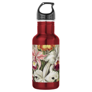 Vintage Ernst Haeckel Orchideen Botanischer Druck Edelstahlflasche