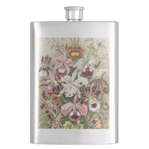 Vintage Ernst Haeckel Orchideen Botanischer Druck Flachmann