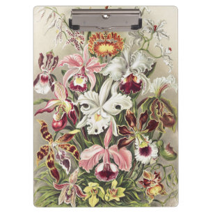 Vintage Ernst Haeckel Orchideen Botanischer Druck Klemmbrett