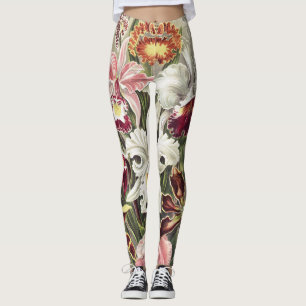 Vintage Ernst Haeckel Orchideen Botanischer Druck Leggings