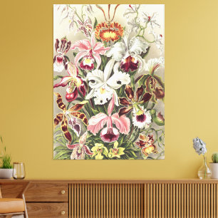 Vintage Ernst Haeckel Orchideen Botanischer Druck Leinwanddruck