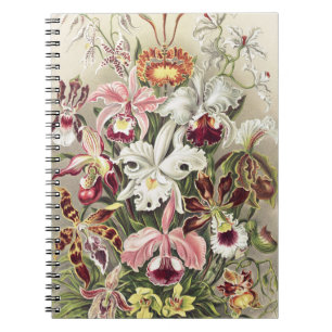 Vintage Ernst Haeckel Orchideen Botanischer Druck Notizblock