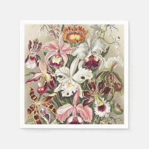 Vintage Ernst Haeckel Orchideen Botanischer Druck Serviette