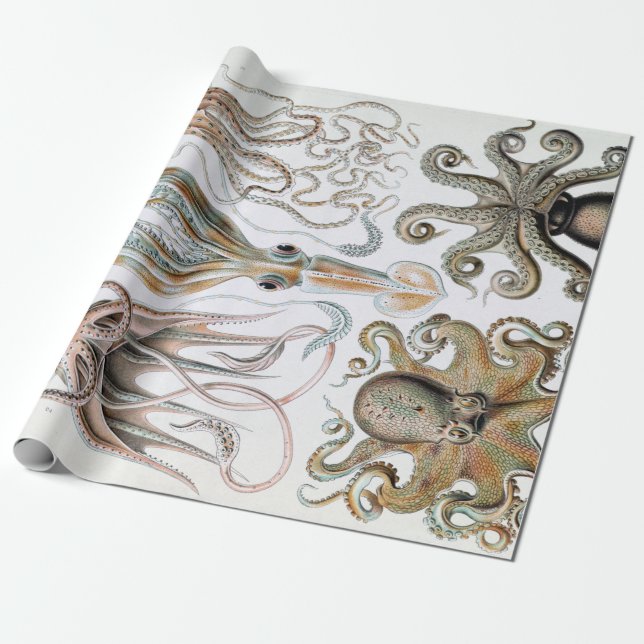 Vintage Ernst Haeckel-Tintenfisch und Octopus-Post Geschenkpapier (Ungerollt)