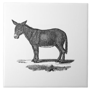 Vintage-Esel-Illustration - Esel aus dem 19. Jahrh Fliese