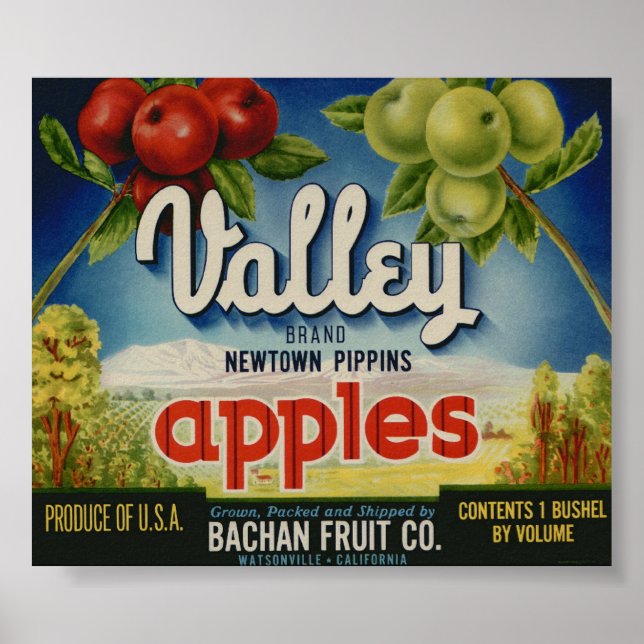 Vintage Etiketten für alte Fruchtkästen von Apple Poster (Vorne)