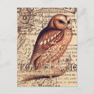 Vintage-Eule-Ephemera-Decoupage-Postkarte Postkarte