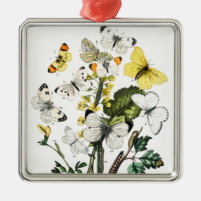 Vintage europäische Schmetterlinge Ornament Aus Metall (Vorne)