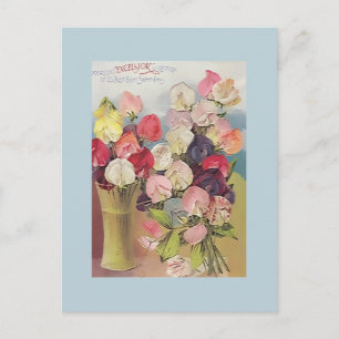 Vintage Excelsior Kollektion verschiedener Wicken Postkarte
