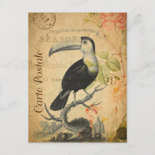 Vintage exotischer tropischer Tukan-Vogel Blumen f Postkarte