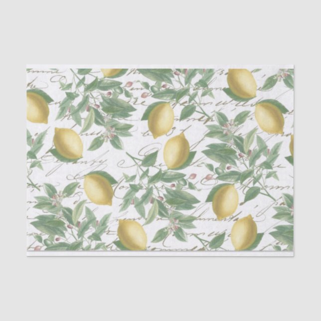 Vintage Faded Lemon Branch Französisch Script Frui Seidenpapier (Vorderseite)