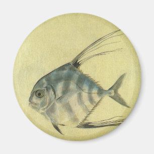 Vintage Fadenflossen-Kraxen, Afrikanischer Pompano Magnet