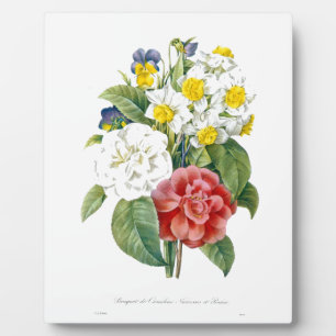 vintage farbenfrohe botanische Blumen von Redoute. Fotoplatte