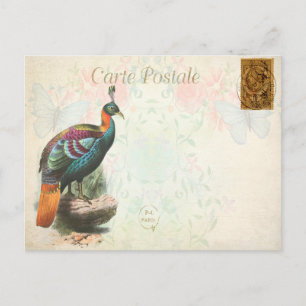 Vintage Farbige Exotische Vogel Blumen Französisch Postkarte