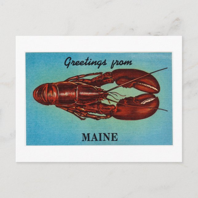 Vintage Farbige Grüße aus Maine Lobster Postkarte (Vorderseite)