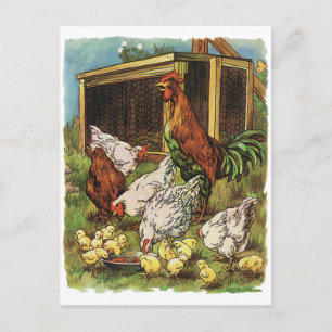Vintage Farm Animals, Rooster, Hens, Chickens Postkarte