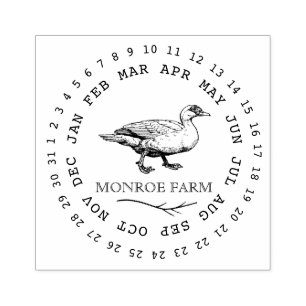 Vintage Farm elegante Duck Egg Carton Briefmarke Gummistempel