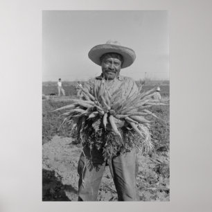 Vintage Farm Security Administration Print Poster