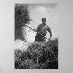 Vintage Farm Security Administration Print Poster