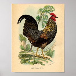 Vintage Farm Viktorianisch Print Rooster Poster