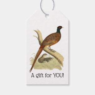 Vintage Fasan auf Ast Jagdvogel Zeichnung Farbe Geschenkanhänger