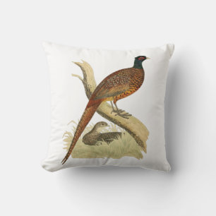 Vintage Fasan auf Ast Jagdvogel Zeichnung Farbe Kissen