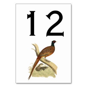 Vintage Fasan auf Ast Jagdvogel Zeichnung Farbe Tischnummer