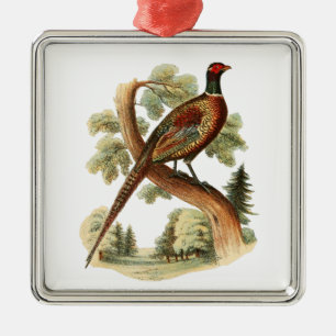 Vintage Fasan auf Ast mit Bäumen Zeichnung Farbe Ornament Aus Metall