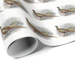 Vintage Fasan Jagdvogel Zeichnung Farbe #2 Geschenkpapier