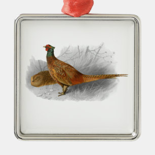 Vintage Fasan Jagdvogel Zeichnung Farbe #3 Ornament Aus Metall