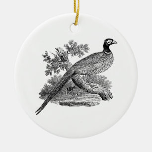 Vintage Fasan Jagdvogel Zeichnung SW Keramikornament