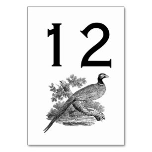 Vintage Fasan Jagdvogel Zeichnung SW Tischnummer