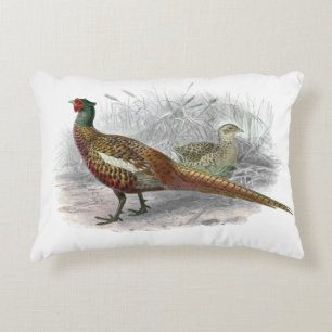 Vintage Fasan Wildvogel Zeichnung Farbe #2 Dekokissen