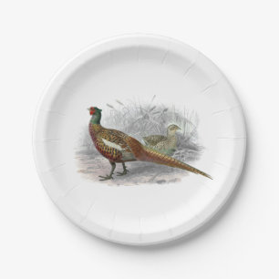 Vintage-Fasan-Wildvogel-Zeichnung Farbe #2 Pappteller