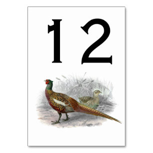 Vintage Fasan Wildvogel Zeichnung Farbe #2 Tischnummer