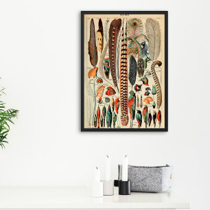Vintage-Feather   Art von Pflaumen 1910 Französisc Poster