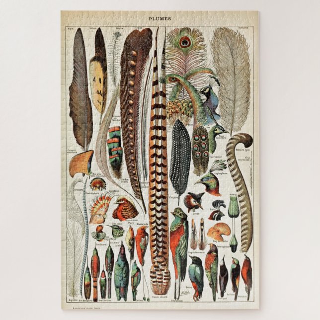 Vintage Feathers Birds Alte Illustration Kunst Puzzle (Vertikal)