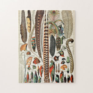 Vintage Feathers Birds Alte Illustration Kunst Puzzle