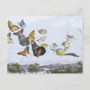 Vintage Fee Postkarte