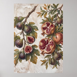 Vintage-Feigen-Granatapfel-Kunstposter Poster