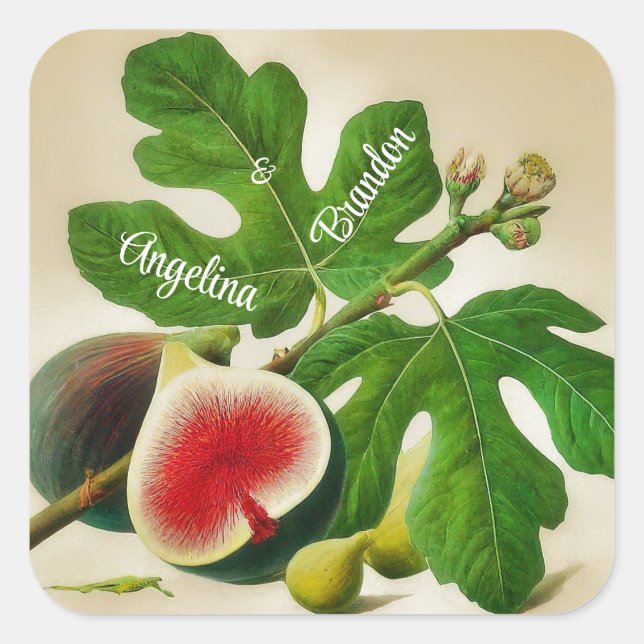 Vintage Feigen Hochzeit Personalisiert Quadratischer Aufkleber (Vorderseite)